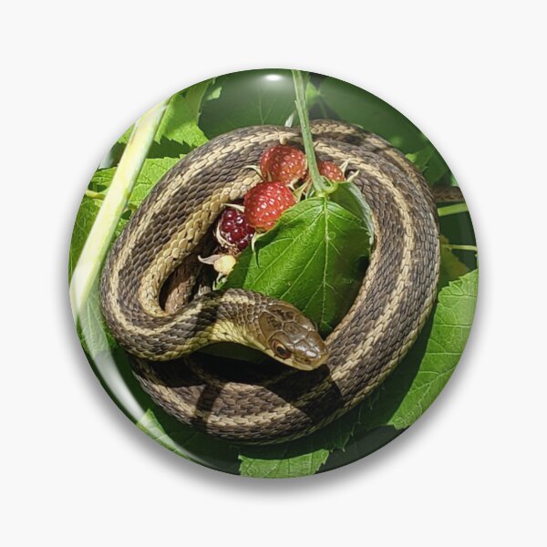 Item preview, Garter Snake with Berries designed and sold by AmazingAmanda42.