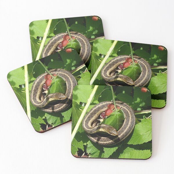 Item preview, Garter Snake with Berries designed and sold by AmazingAmanda42.