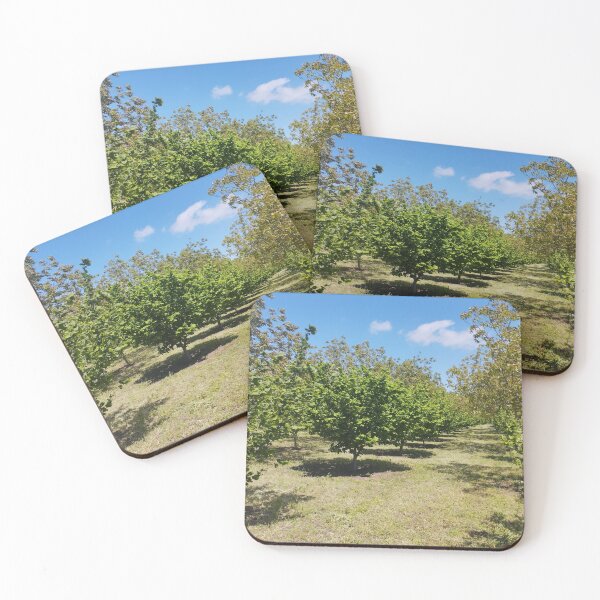 Item preview, Orchard with Hazelnut and Walnut Trees designed and sold by inspiration3.