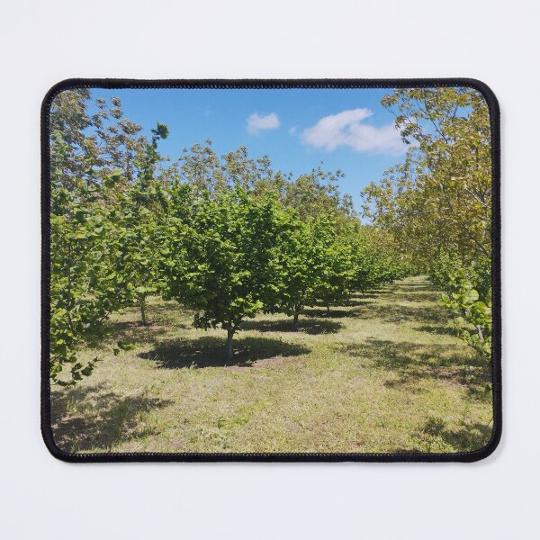 Item preview, Orchard with Hazelnut and Walnut Trees designed and sold by inspiration3.