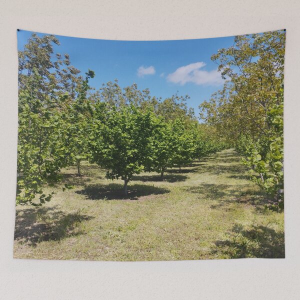 Item preview, Orchard with Hazelnut and Walnut Trees designed and sold by inspiration3.