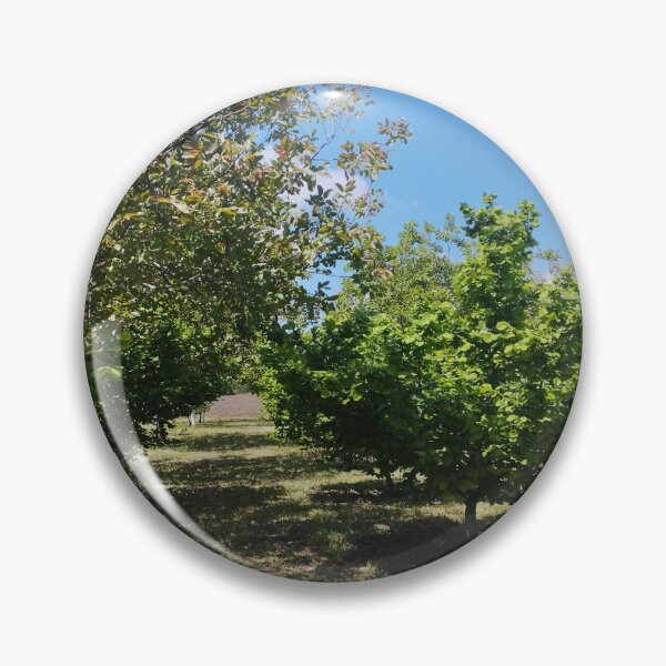 Item preview, Orchard with Hazelnut and Walnut Trees designed and sold by inspiration3.