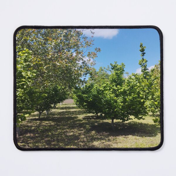 Item preview, Orchard with Hazelnut and Walnut Trees designed and sold by inspiration3.
