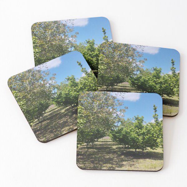Item preview, Orchard with Hazelnut and Walnut Trees designed and sold by inspiration3.