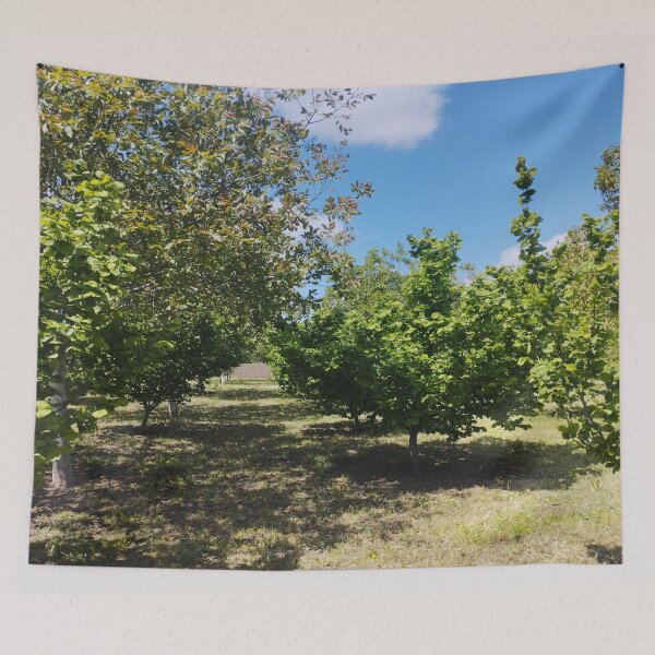Item preview, Orchard with Hazelnut and Walnut Trees designed and sold by inspiration3.
