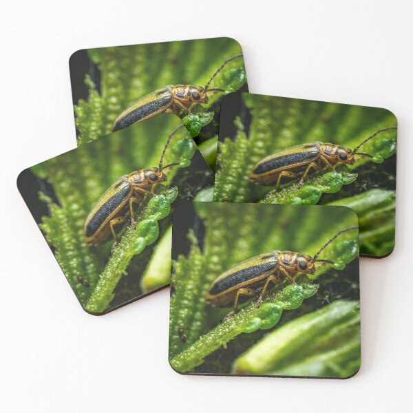 Item preview, Gold and Shadow — Beetle Macro on Green and Black designed and sold by Rabee Khalil Photography.