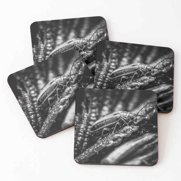 Item preview, Silver and Shadow — Beetle Macro in Black and White designed and sold by Rabee Khalil Photography.