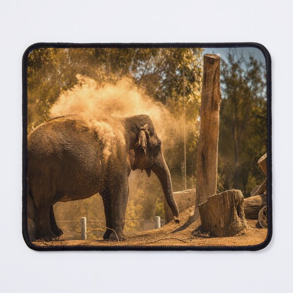 Item preview, Dust Bath designed and sold by Kimberly Palmer.