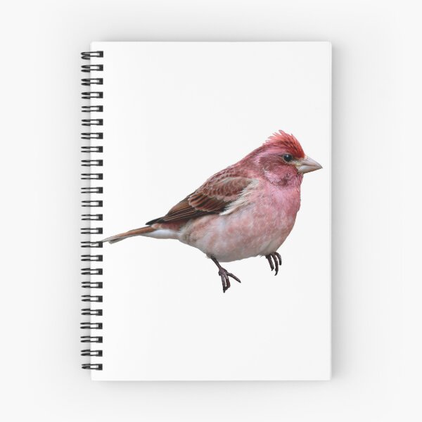 Item preview, Purple Finch designed and sold by kyra0nicole.