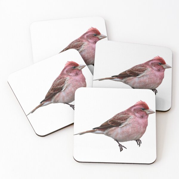 Item preview, Purple Finch designed and sold by kyra0nicole.