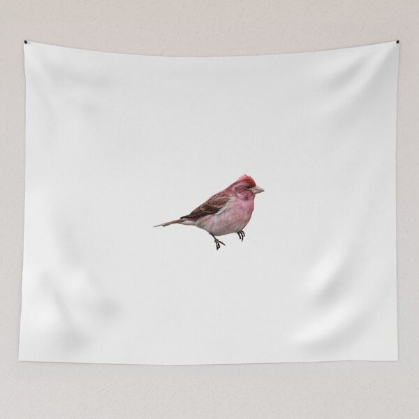 Item preview, Purple Finch designed and sold by kyra0nicole.