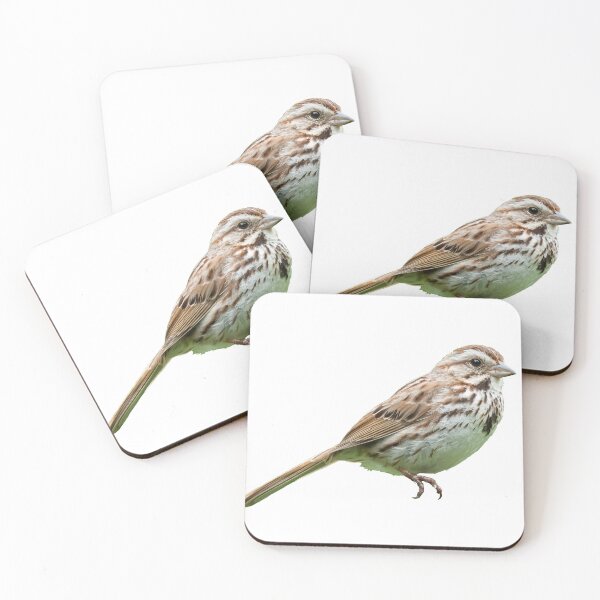 Item preview, Song Sparrow designed and sold by kyra0nicole.