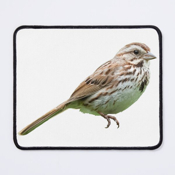 Item preview, Song Sparrow designed and sold by kyra0nicole.