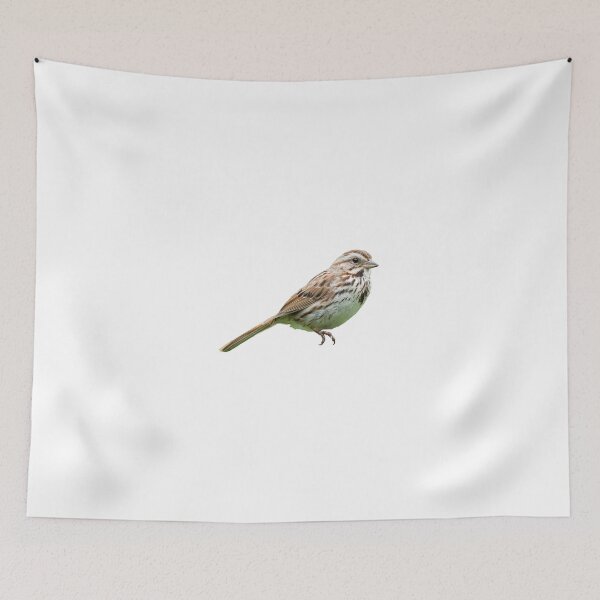 Item preview, Song Sparrow designed and sold by kyra0nicole.
