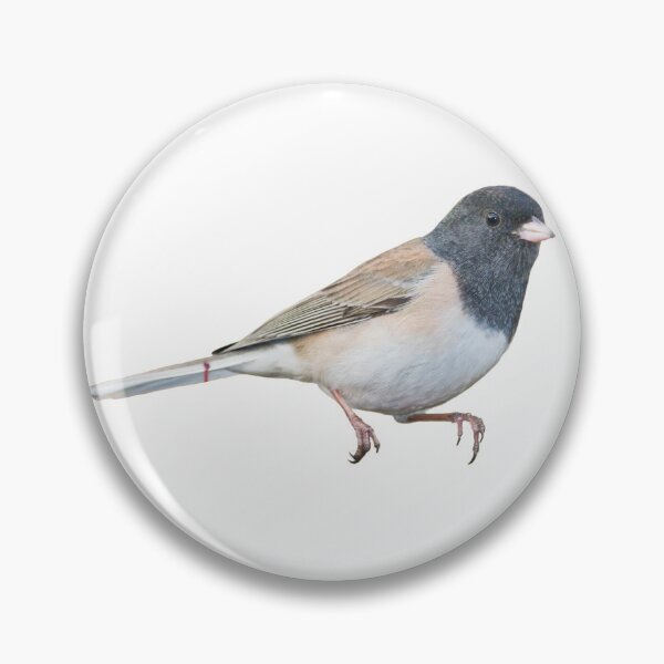 Item preview, Dark-eyed Junco designed and sold by kyra0nicole.
