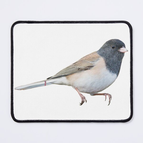 Item preview, Dark-eyed Junco designed and sold by kyra0nicole.