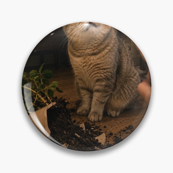 Item preview, Cat Destroyed Plant And Blamed Me designed and sold by LovelyCatGalaxy.