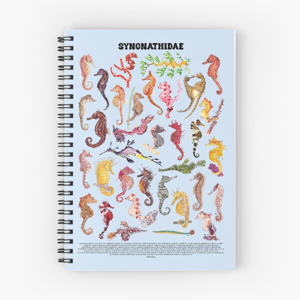 Item preview, SYGNATHIDAE POSTER texto-light blue designed and sold by BEATRIZ ABAITUA.