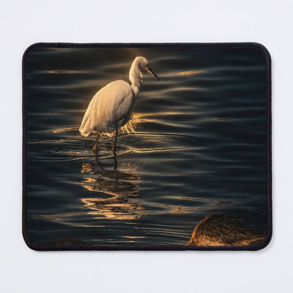 Item preview, Golden Hour Egret Reflection designed and sold by Kimberly Palmer.