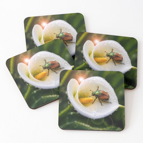 Item preview, Jewel Beetle in Morning Dew designed and sold by Kimberly Palmer.