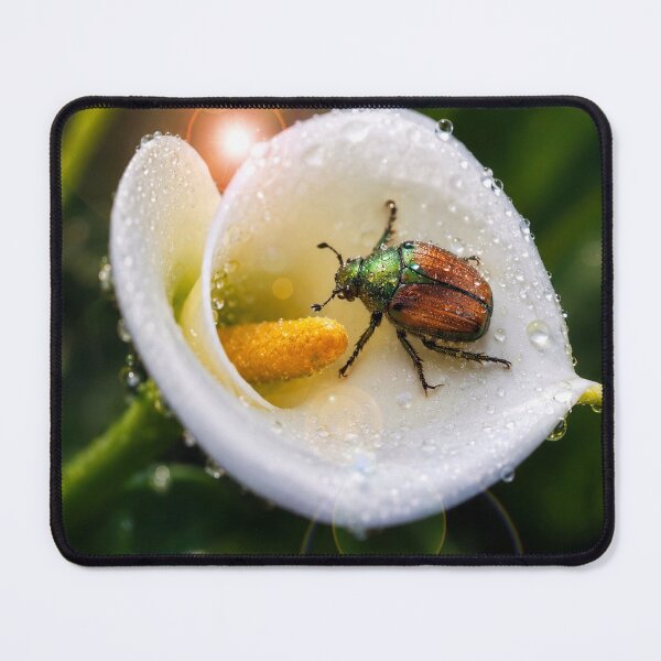 Item preview, Jewel Beetle in Morning Dew designed and sold by Kimberly Palmer.