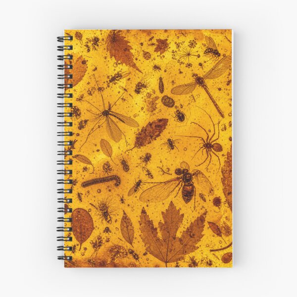 Item preview, AMBER ARCHIVE — Translucent Preserved Nature Collage designed and sold by Jandedan.