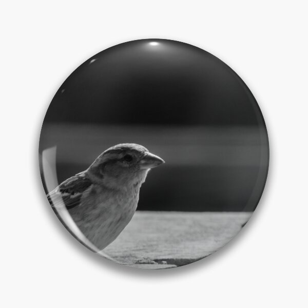Item preview, Sparrow Perched on Concrete Ledge in Black and White Urban Photograph Capturing Quiet Moment designed and sold by Nmallia.