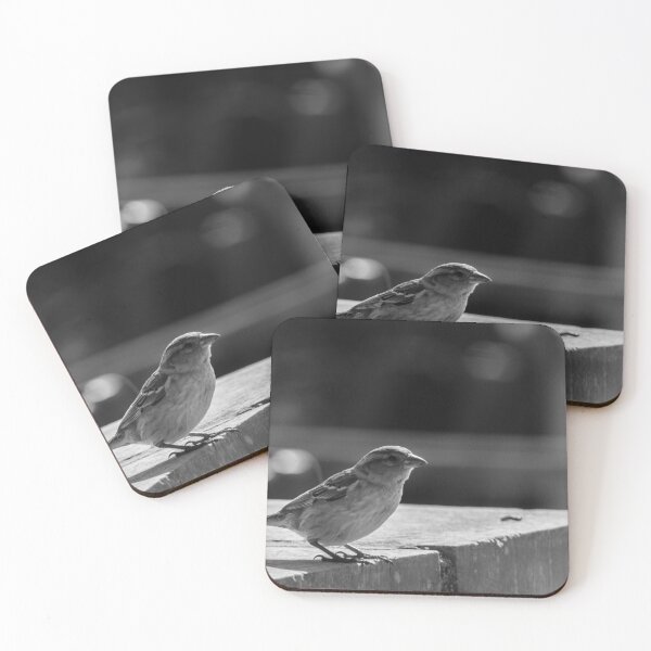 Item preview, Sparrow Perched on Concrete Ledge in Black and White Urban Photograph Capturing Quiet Moment designed and sold by Nmallia.