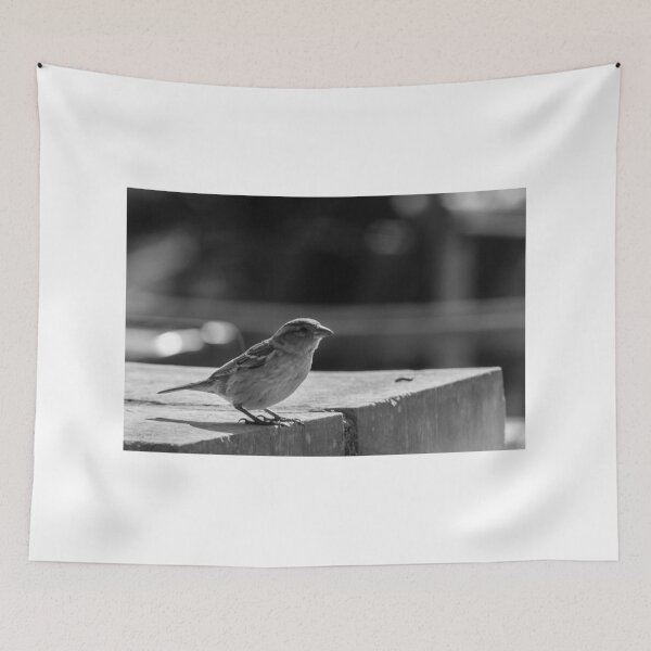 Item preview, Sparrow Perched on Concrete Ledge in Black and White Urban Photograph Capturing Quiet Moment designed and sold by Nmallia.