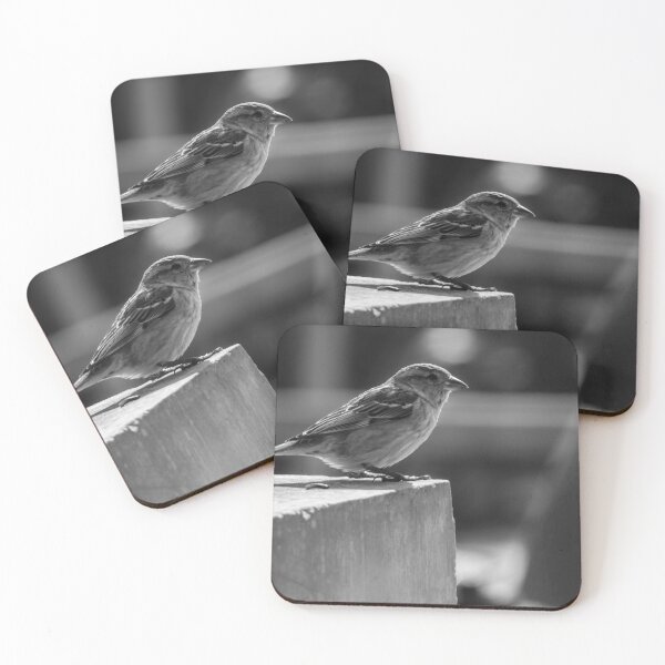 Item preview, Sparrow Perched on Concrete Ledge in Black and White Urban Photograph Capturing Quiet Moment designed and sold by Nmallia.