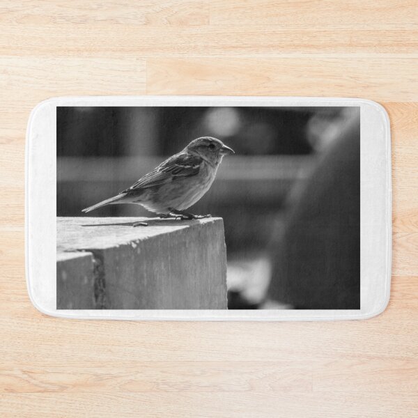 Item preview, Sparrow Perched on Concrete Ledge in Black and White Urban Photograph Capturing Quiet Moment designed and sold by Nmallia.