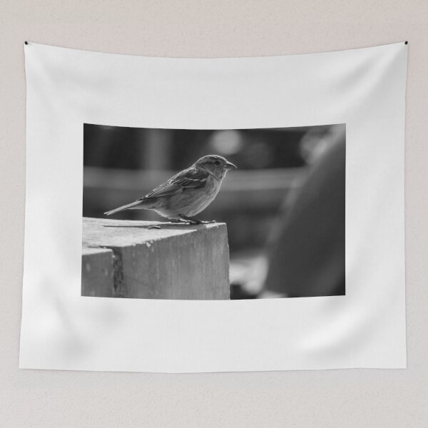 Item preview, Sparrow Perched on Concrete Ledge in Black and White Urban Photograph Capturing Quiet Moment designed and sold by Nmallia.