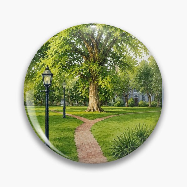 Artikelvorschau, Edgartown Ulm Daydream – Amerikanische Ulme im Edgartown Martha's Vineyard Park entworfen und verkauft von Loveisthebtwd.