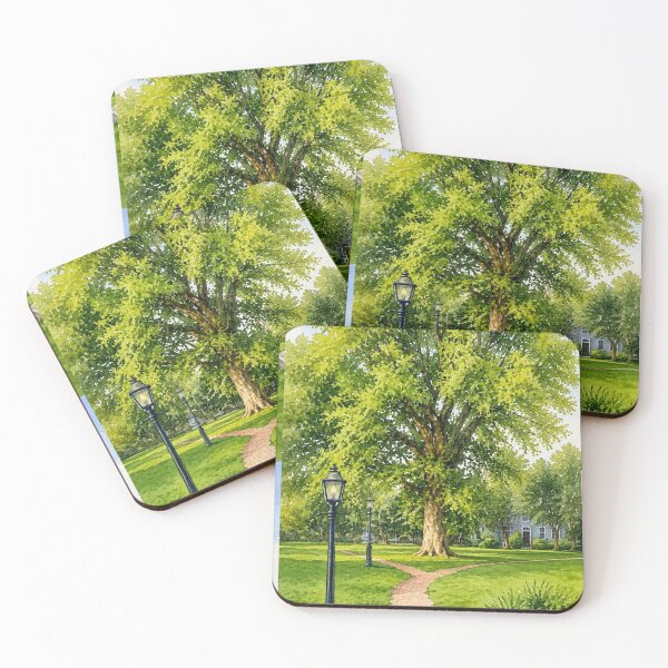Item preview, Edgartown Elm Daydream - American Elm in Edgartown Martha's Vineyard Park designed and sold by Loveisthebtwd.