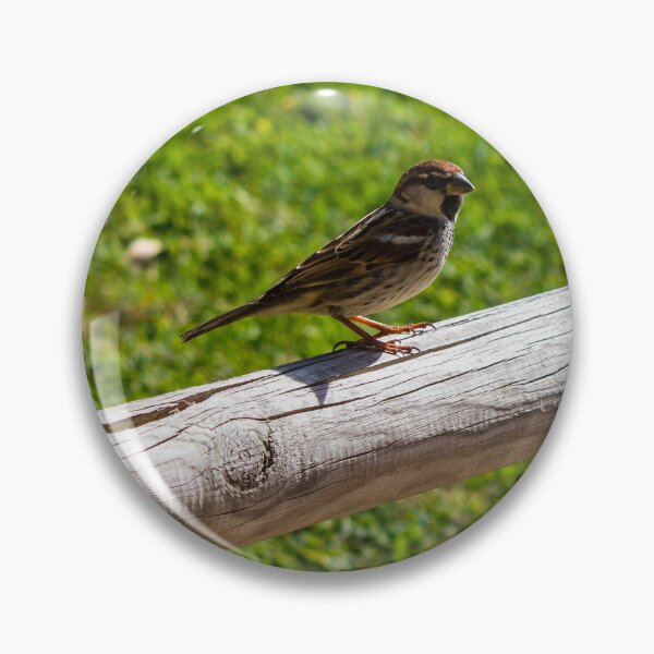 Item preview, Three Sparrows Perched on Wooden Railing Over Green Lawn in Sunny Garden designed and sold by Nmallia.