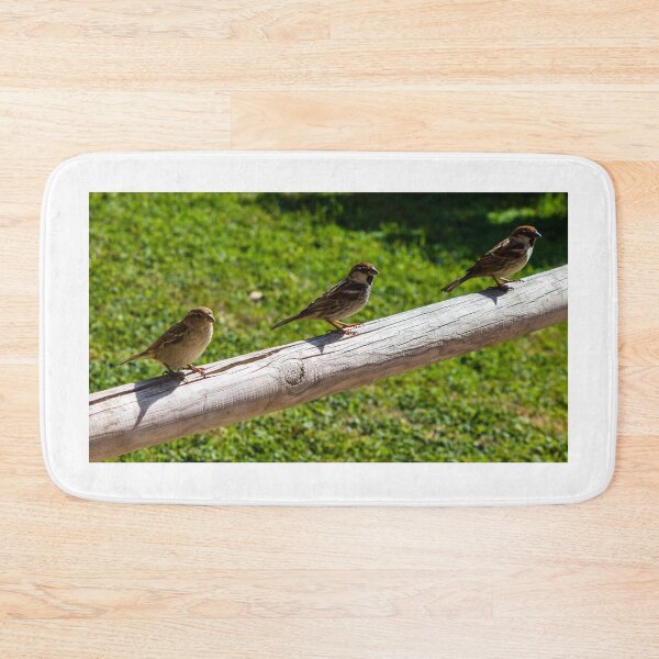 Item preview, Three Sparrows Perched on Wooden Railing Over Green Lawn in Sunny Garden designed and sold by Nmallia.