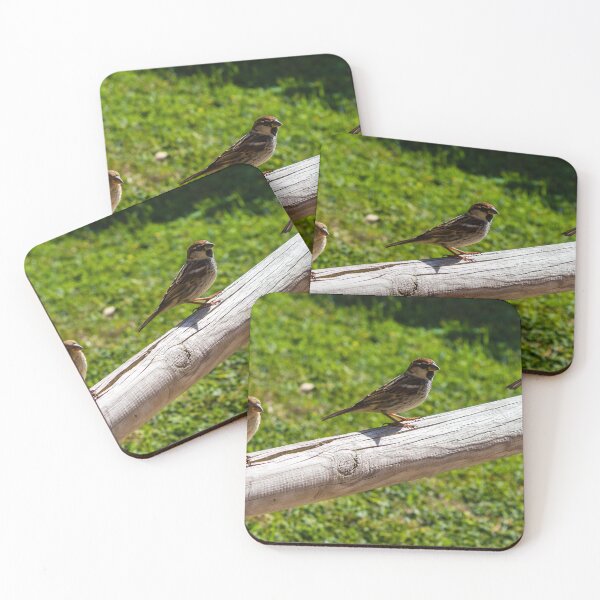 Item preview, Three Sparrows Perched on Wooden Railing Over Green Lawn in Sunny Garden designed and sold by Nmallia.