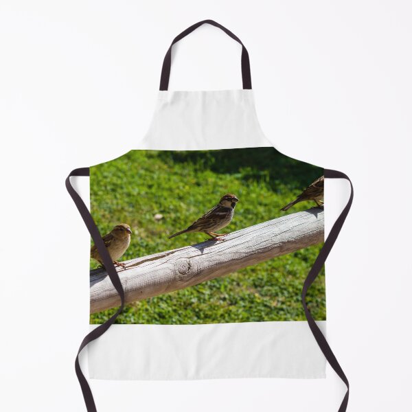 Item preview, Three Sparrows Perched on Wooden Railing Over Green Lawn in Sunny Garden designed and sold by Nmallia.
