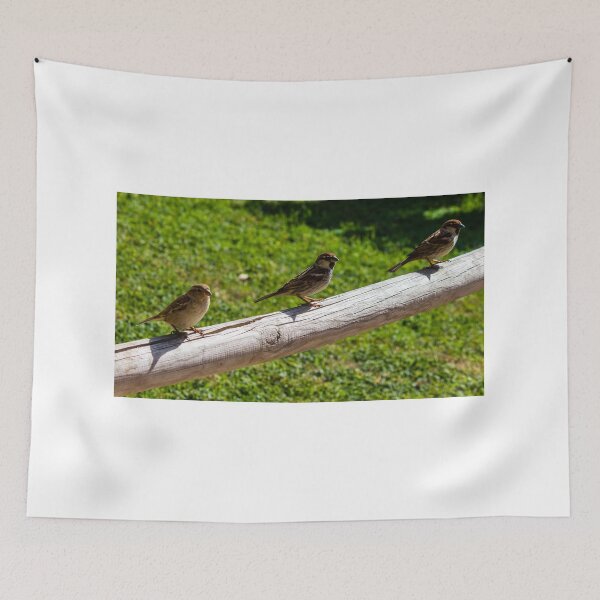 Item preview, Three Sparrows Perched on Wooden Railing Over Green Lawn in Sunny Garden designed and sold by Nmallia.