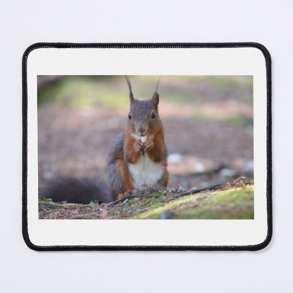 Item preview, Lunch Break designed and sold by RyssaertPhoto.