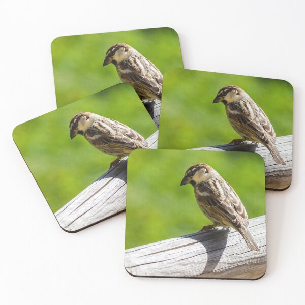 Item preview, House Sparrow Perched on Wooden Rail Overlooking Green Backyard Lawn — Closeup Bird Portrait designed and sold by Nmallia.