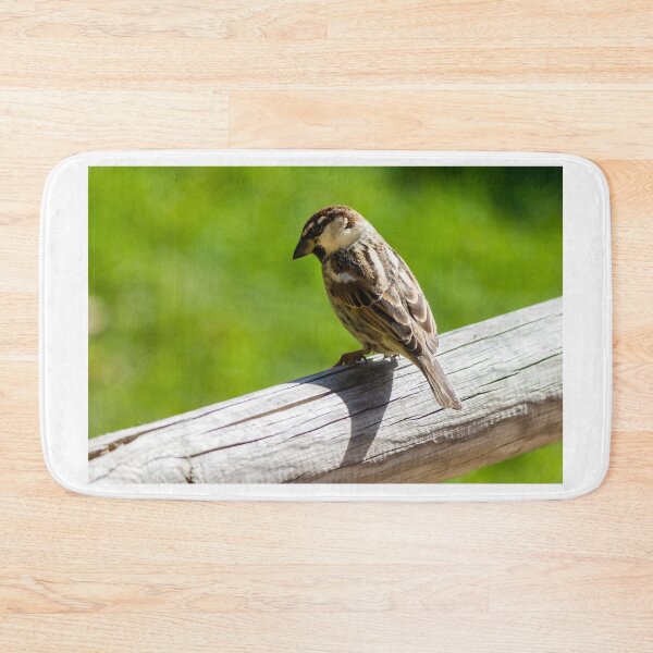 Item preview, House Sparrow Perched on Wooden Rail Overlooking Green Backyard Lawn — Closeup Bird Portrait designed and sold by Nmallia.