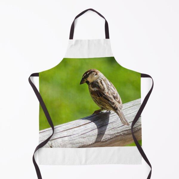 Item preview, House Sparrow Perched on Wooden Rail Overlooking Green Backyard Lawn — Closeup Bird Portrait designed and sold by Nmallia.