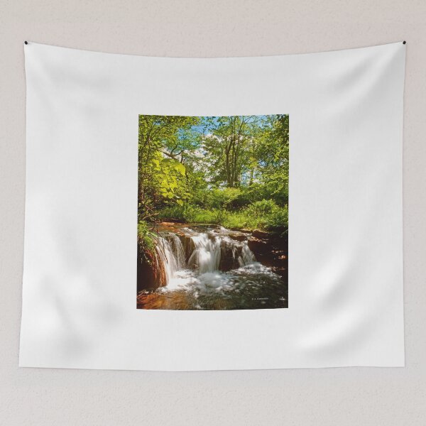 Item preview, Pocono Mountain Stream Cascade, Waterfall, Pennsylvania designed and sold by AMacGPhilly.