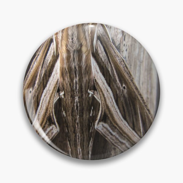 Item preview, Macro Close-Up of a Brown Moth Resting on Weathered Wood Showing Wing Pattern and Texture designed and sold by Nmallia.