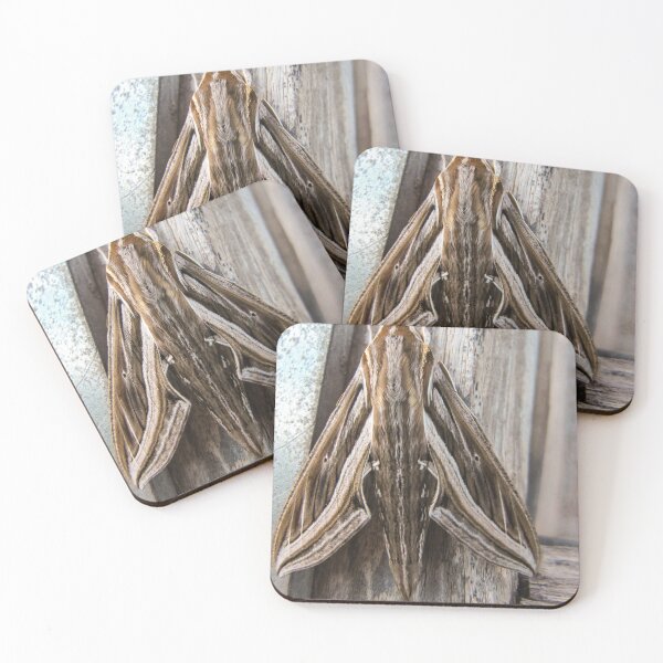 Item preview, Macro Close-Up of a Brown Moth Resting on Weathered Wood Showing Wing Pattern and Texture designed and sold by Nmallia.