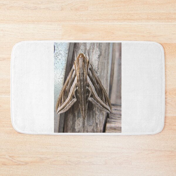 Item preview, Macro Close-Up of a Brown Moth Resting on Weathered Wood Showing Wing Pattern and Texture designed and sold by Nmallia.