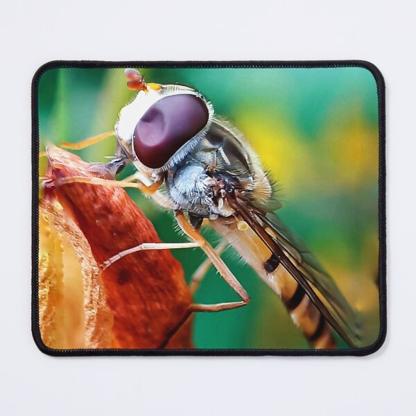 Item preview,  Nature dron observer  designed and sold by Lightcollection.