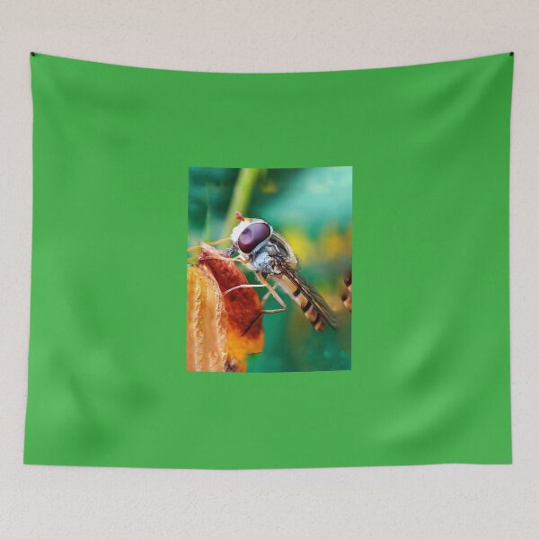 Item preview,  Nature dron observer  designed and sold by Lightcollection.
