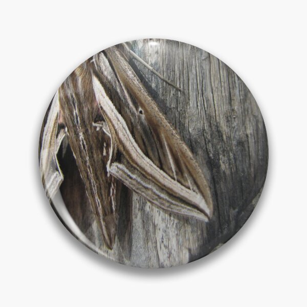 Item preview, Macro Close-Up of a Brown Moth Resting on Weathered Wood Showing Wing Pattern and Texture designed and sold by Nmallia.